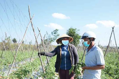 Kông Lơng Khơng nỗ lực "vượt ải" tiêu chí thu nhập