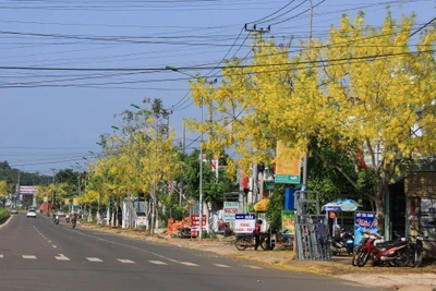 Thành phố Gia Nghĩa: Đẩy mạnh chuyển dịch cơ cấu kinh tế để phát triển bền vững