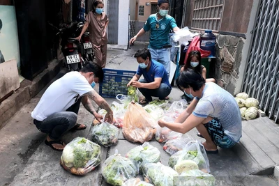 1001 chuyện đi chợ hộ dân ở TP. Hồ Chí Minh - Bài cuối: Tất bật lo cho dân