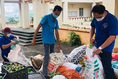 Gia Lai: Ủng hộ hơn 8 tấn thực phẩm cho người dân TP. Hồ Chí Minh