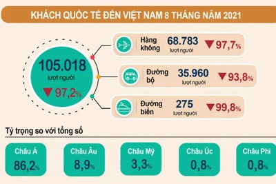 Du lịch 8 tháng năm 2021 vẫn ảm đạm