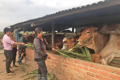 Người dân gặp khó khi ra khỏi... vùng khó