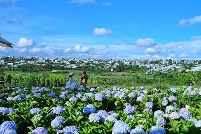 Bám trụ với nghề