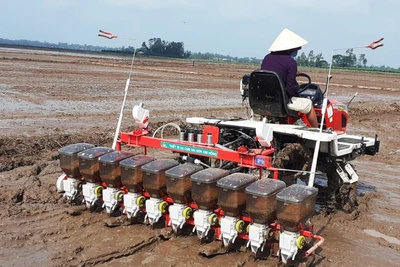 Giá phân bón tăng hoa mắt chóng mặt, chuyên gia khuyên nông dân làm ngay điều này để tiết kiệm