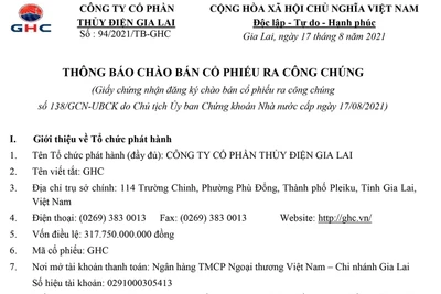 Công ty cổ phần Thủy điện Gia Lai thông báo chào bán cổ phiếu ra công chúng