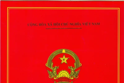 Công ty TNHH một thành viên Khang Phúc-Gia Lai