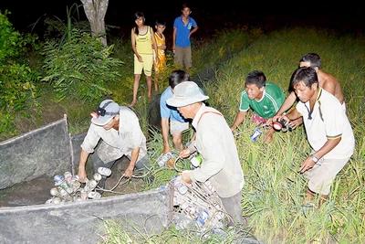 Mùa săn chuột đồng