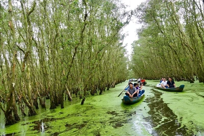 Miền Tây Nam Bộ thu nhỏ ở An Giang