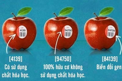 Chị em phụ nữ buộc phải biết điều này khi mua trái cây nhập khẩu