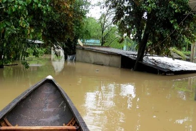 Phú Yên: 2 người mất tích do lũ cuốn