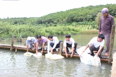 Nghề nuôi trồng thủy sản trên địa bàn Gia Lai