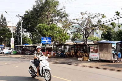 Nhếch nhác vỉa hè