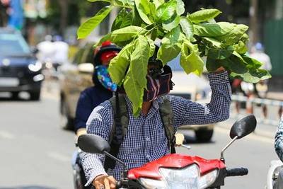 Thời tiết những ngày nghỉ lễ, nắng nóng vẫn kéo dài trên cả nước