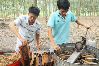 Gian nan lấy mật ngọt cho đời