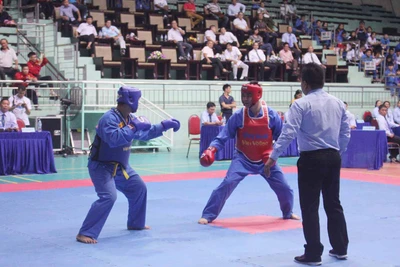 Gia Lai: Khai mạc giải Vovinam các đội mạnh toàn quốc lần thứ X