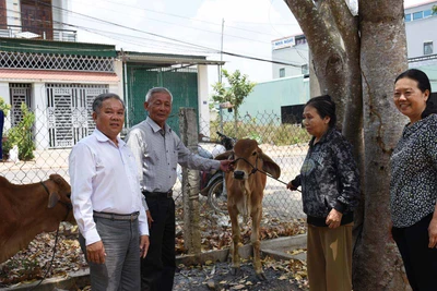 Tặng bò giống cho người nghèo khuyết tật 2 huyện Đak Pơ và Phú Thiện