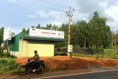 'Tham nhũng' 40ha đất rừng, nguyên thường vụ Tỉnh ủy nhận… huân chương lao động