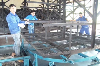 Xí nghiệp Chế biến mủ Kdang: Nâng cao hiệu quả sản xuất