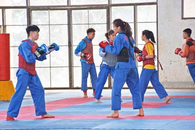 Gia Lai đăng cai tổ chức Giải Vô địch Vovinam toàn quốc lần thứ X