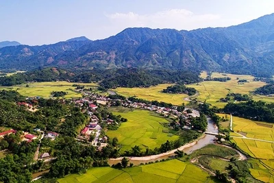 Sắc hoa vùng đất lũ