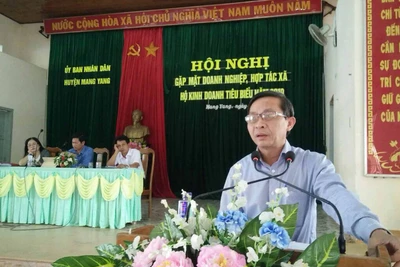 Mang Yang: Gặp mặt doanh nghiệp, hợp tác xã, hộ kinh doanh tiêu biểu