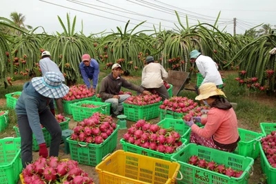 Bộ NNPTNT đề nghị Trung Quốc tạo thuận lợi cho xuất khẩu nông sản