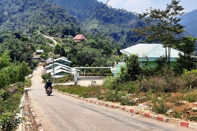 Trở lại làng 'lắm chuyện'