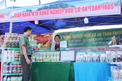 Tạo đà sản phẩm OCOP vươn xa