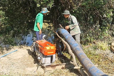 Tây Nguyên nỗ lực chống hạn