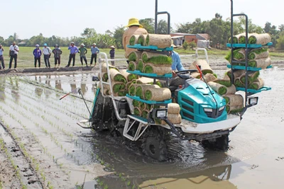 Đề xuất miễn thuế đất nông nghiệp: 7.500 tỷ đồng hỗ trợ cho nông dân