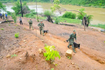 Phong trào toàn dân tham gia bảo vệ chủ quyền lãnh thổ, an ninh biên giới: Hiệu quả và lan tỏa