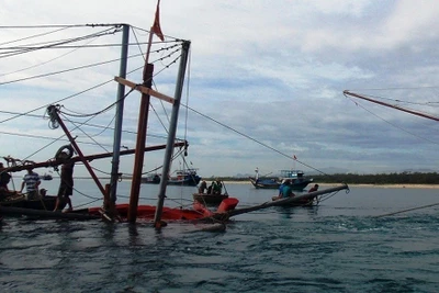 Chìm tàu ở Quảng Ngãi, 3 ngư dân được cứu