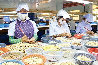 Giải bài toán nâng cao kim ngạch xuất khẩu