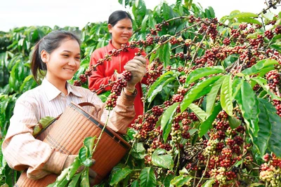 Điểm báo Gia Lai ngày 6-4-2017