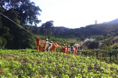 Điện lực Kbang: Tích cực tham gia xây dựng nông thôn mới