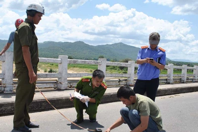 Những người bắt dấu vết "lên tiếng"