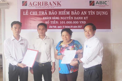 Chi trả Bảo an Tín dụng cho khách hàng Agribank