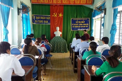 Ra mắt Tổ liên kết "Trồng và chăm sóc chanh dây quả tím"