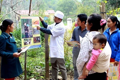 Bệnh sốt rét đang có nguy cơ bùng phát trở lại tại Việt Nam