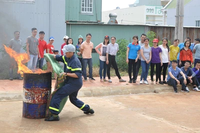 Điểm báo Gia Lai ngày 25-4-2017