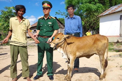 Hỗ trợ các gia đình có hoàn cảnh khó khăn tại Kbang và An Khê