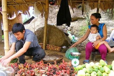 Ngược rẻo cao "săn" hàng Tết