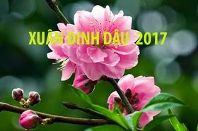 Đáp ứng tối đa nhu cầu thông tin liên lạc dịp Tết Nguyên đán 2017