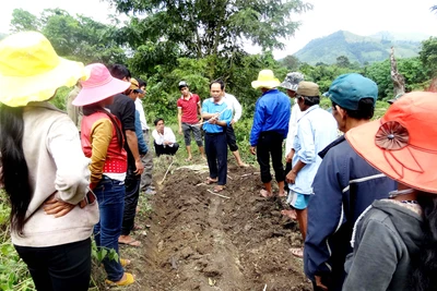 Mở lối cho hộ nghèo vươn lên