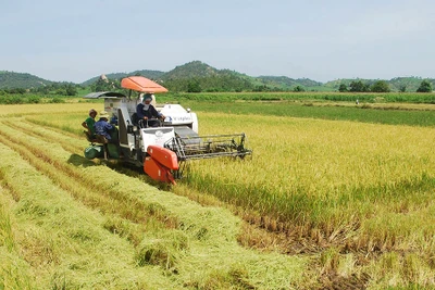 Nâng cao tinh thần trách nhiệm, tận tụy phục vụ nhân dân