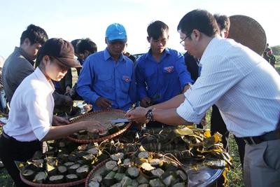 Xuân về trên ngôi làng cách mạng