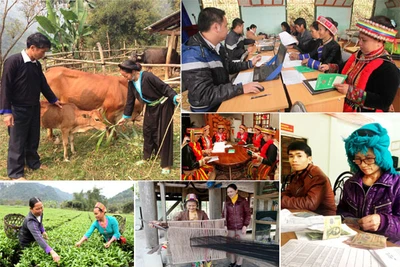 Rà soát, tích hợp chính sách giảm nghèo