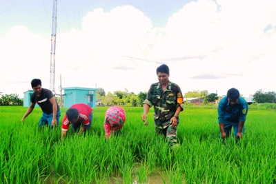 Tình quân dân nơi biên giới