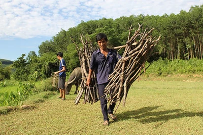 Tiếp sức đến trường - Có một dòng chảy yêu thương