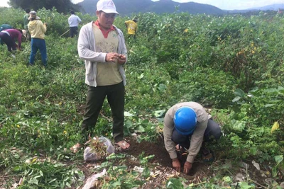 Ia Broái phát động trồng cây "Đời đời nhớ ơn Bác Hồ"